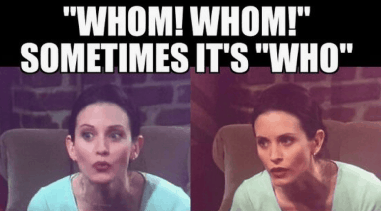 Its a meme with Monica from friends and wrodplay on who and whom