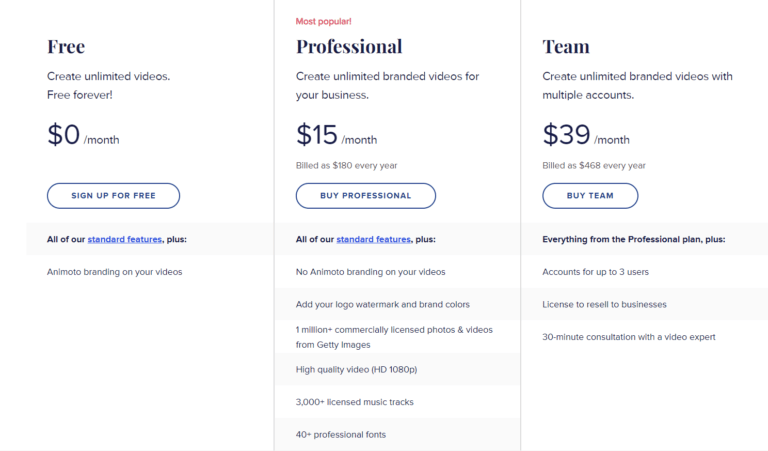 Annual Plan Charges of Animoto Software