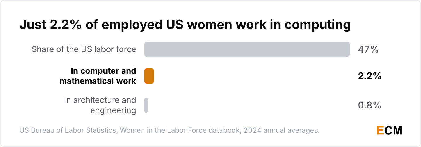Only 2.2% of employed US women work in computer and mathematical occupations, against 47% of the labor force overall.